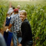 Annie Favia, Staking Her Claim In The Vineyard