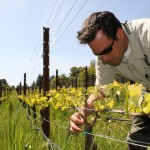 Paul Sloan at Small Vines Winery and Viticulture