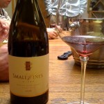 Small Vines 2008 Russian River Pinot Noir – Great Winemaking Starts in the Vineyards