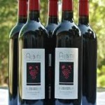 ALBINI FAMILY VINEYARDS – A Local Boutique Treasure