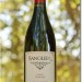 Sanglier Cellars – Great Wines Are Made In The Vineyard