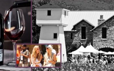 New Silver Oak Cellars Napa Cabernet Sauvignon