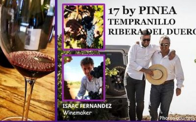 Bodegas Pinea 17 Tempranillo Ribera del Duero