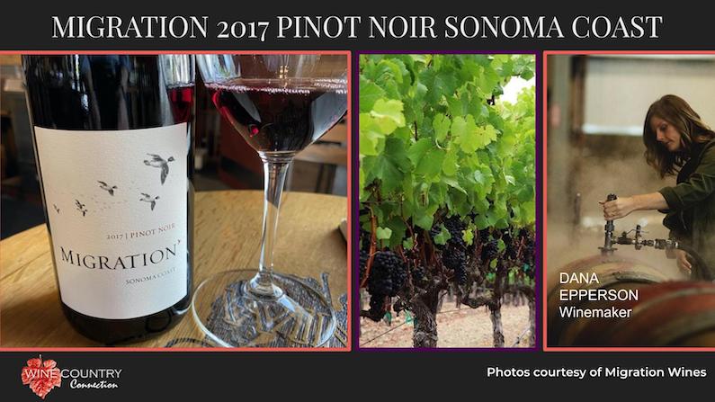 Migration 2017 Sonoma Coast Pinot Noir