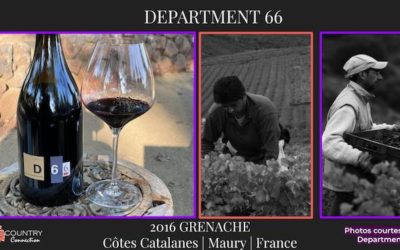 “Blockbuste” Department 66 Grenache by Dave Phinney