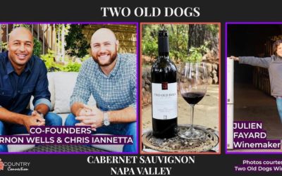 Stellar Two Old Dogs Cabernet Sauvignon | Napa Valley