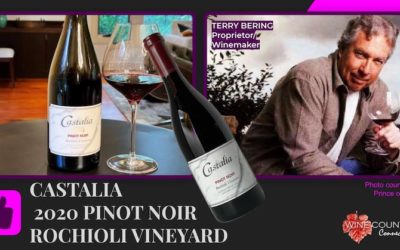 Classic RRV Pinot from Iconic Rochioli Vineyard [New Castalia]