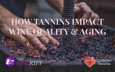 How Tannins Impact Wine Quality and Aging