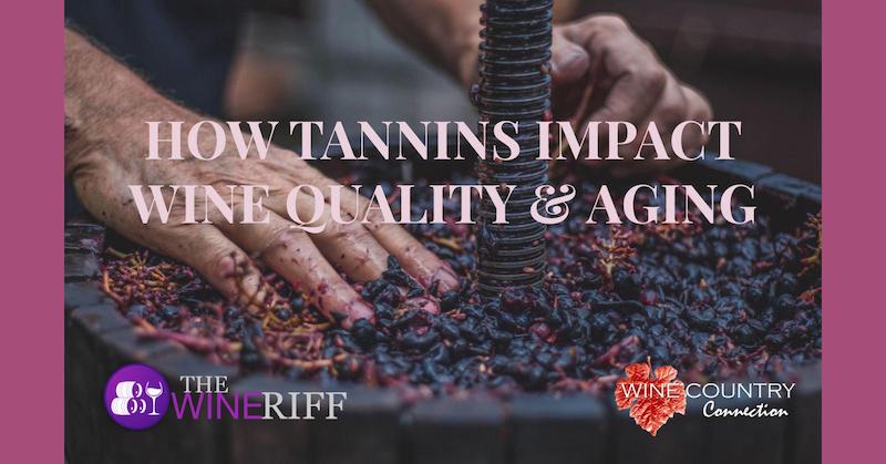 alt="Tannins effect on wine banner"