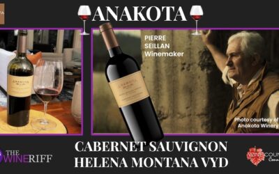 Brilliant Anakota Cabernet Sauvignon | Critics Agree