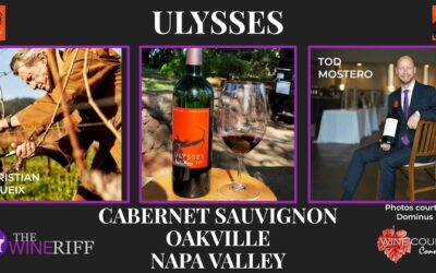Brilliant Ulysses Oakville Cabernet Sauvignon by Christian Moueix
