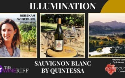 Irresistible Illumination Sauvignon Blanc – Fresh, Layered, Delicious