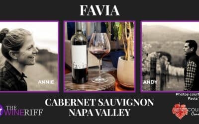“Excellent” Favia Napa Valley Cabernet Sauvignon from Andy Erickson