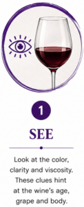 Wine Tasting Icon - See